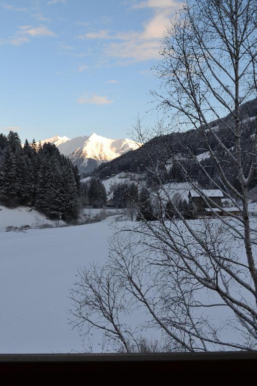 Alpenblick 3*
